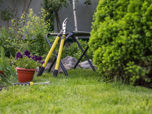 Tuinschaar die in de tuin staat